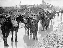 Ammunition Column Pack horses transporting ammunition, Vimy Ridge, April 1917 DAC Pack Ammo Apr17.jpg