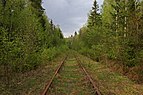 Detkovo forest and rail track.jpg