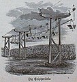 Die Gartenlaube (1893) b 093_2.jpg Die Telpherlinie