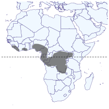 Mapa de distribución de Pseudopontia en África[2]​