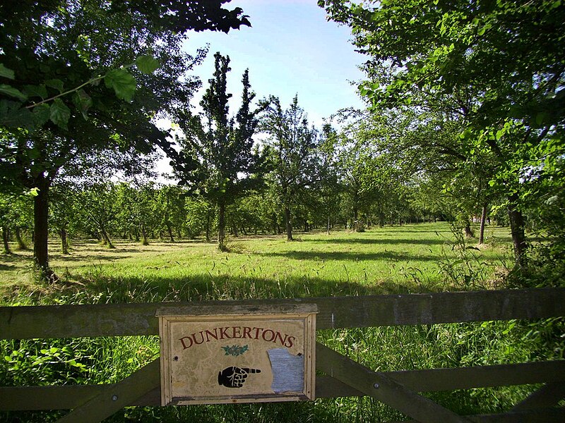 File:Dunkerton's Apple Trees - geograph.org.uk - 4053549.jpg