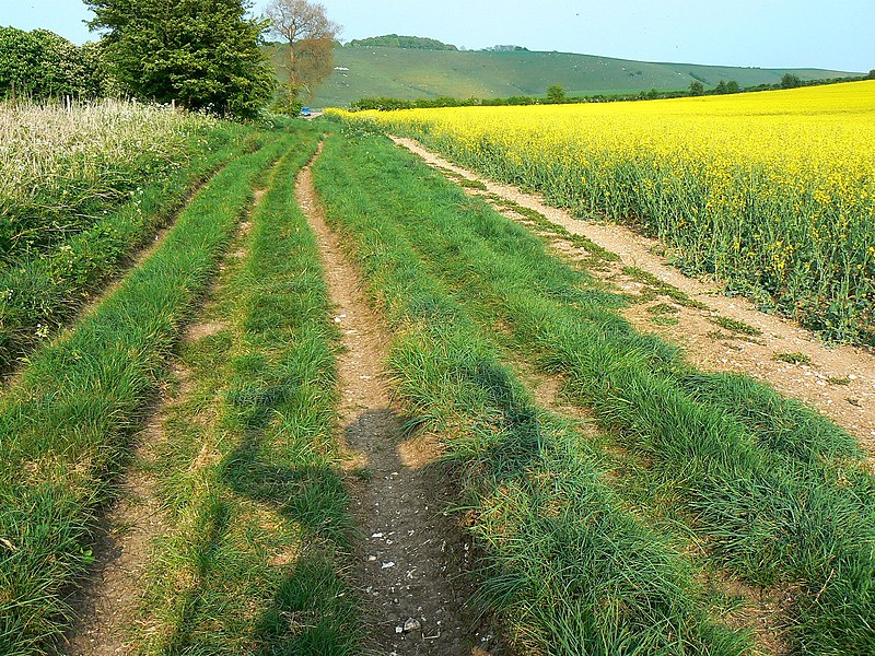 File:East along a byway, Shipley Bottom - geograph.org.uk - 2377791.jpg