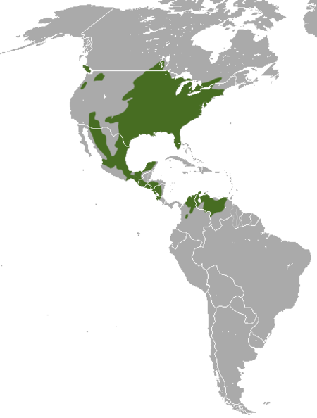 Tập_tin:Eastern_Cottontail_area.png