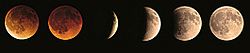 The progression of a lunar eclipse from right to left. Totality is shown with the first two images. These required a longer exposure time to make the details visible. Eclipse lune.jpg