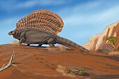 Life restoration of the Carboniferous-Permian synapsid (mammal precursor) Edaphosaurus Edaphosaurus pogonias.jpg