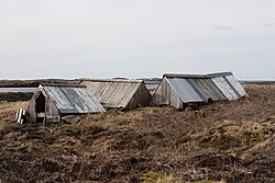 Ejder: Utbredning och taxonomi, Utseende, Läten