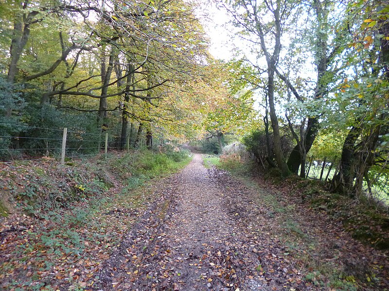 File:Emery Down, byway - geograph.org.uk - 3740227.jpg