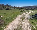 * Nomination Gravel track in the Entzia mountain range. Navarre, Spain --Basotxerri 21:50, 23 June 2017 (UTC) * Promotion Good quality. --Jacek Halicki 23:02, 23 June 2017 (UTC)