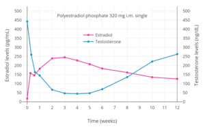 Estradiol and testosterone levels following a single intramuscular injection of 320 mg polyestradiol phosphate, a polymeric estradiol ester and prodrug, in men with prostate cancer. Estradiol and testosterone levels with a single intramuscular injection of 320 mg polyestradiol phosphate in men.png