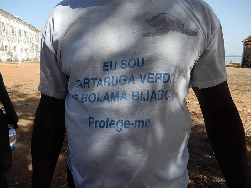 File:Eu Sou Tartaruga Verde de Bolama Bijagós, Bolama, Guiné-Bissau – 2018-03-04 – DSCN1482.jpg