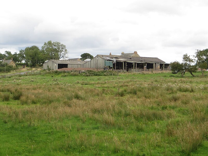 File:Farm at Maidens Hall - geograph.org.uk - 5515673.jpg