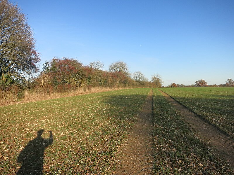 File:Farmland near Naphill - geograph.org.uk - 5226923.jpg