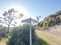 wikimedia_commons=File:Fingerpost on hiking route 4172 (blue) at junction with hiking route 4173 (green) - Israel, near Beit Oren (20220108 145127).jpg