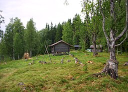 Finngården Skifsen i juli 2013.