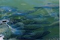 Fishes in Tunga river at Vidyashankara temple, Sringeri