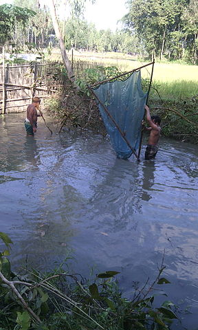 File Fishing in a lake .jpg - Wikimedia Commons