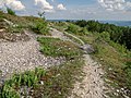 * Nomination Slope of the Friesener Warte near Hirschaid in Upper Franconia --Ermell 05:53, 7 June 2018 (UTC) * Promotion Good quality --Llez 06:21, 7 June 2018 (UTC)
