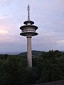 Funkturm auf dem Azelberg im Taunus
