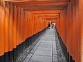 Fushimi-Inari-taisha sembon-torii