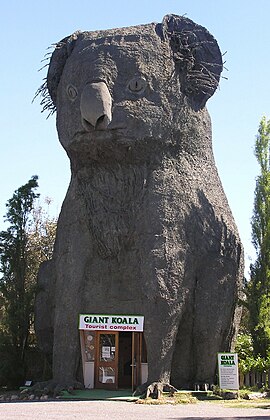 Гигантская коала.jpg