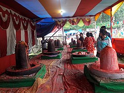 Godawari Mela