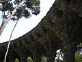 Roadway in the Park - resembles the pine trees of the park. In order to fit in, the road and walkway structures between the terraces were built with stones quarried within the park. Bird nests have been installed in the walkways.