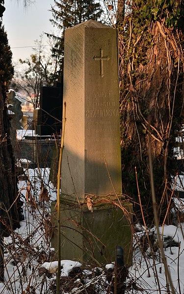 File:Grave of Aniela Grzywińska (02).jpg