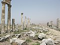 Great Colonnade at Apamea, Columns, Apamea, Syria.jpg