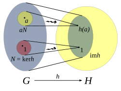 Group Homomorphism Wikipedia