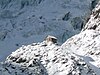 Grünhorn Hut