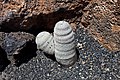 Guatiza - Jardín de Cactus - Lanzarote - J41.jpg