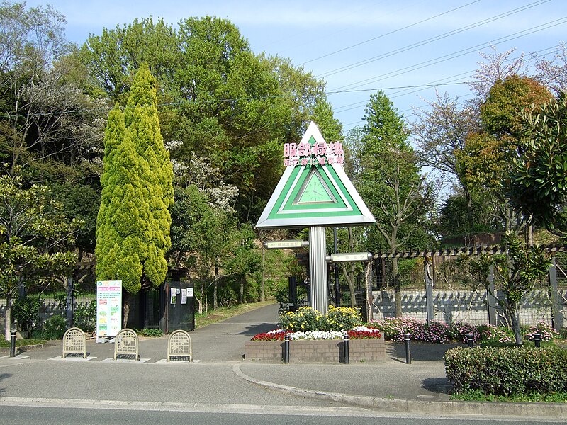 File:Hattori Ryokuchi city afforestation botanical garden.jpg