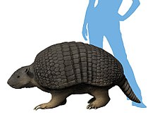 220px-Holmesina_floridanus_life_reconstruction.jpg