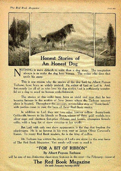 File:Honest Stories of an Honest Dog.jpg