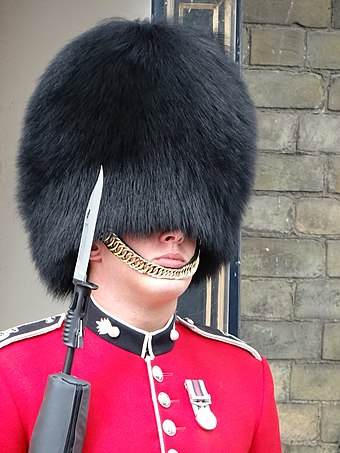 На голове солдата. Королевская гвардия (Royal Guards). Шапка королевского гвардейца Великобритании. Шапки Гвардейцев Великобритании. Bearskins Королевская гвардия.