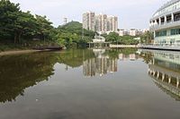 Озеро Хуйкуй в Шэньчжэньском международном парке садов и цветов2 .jpg