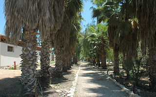 <span class="mw-page-title-main">Hulda, Israel</span> Kibbutz in central Israel