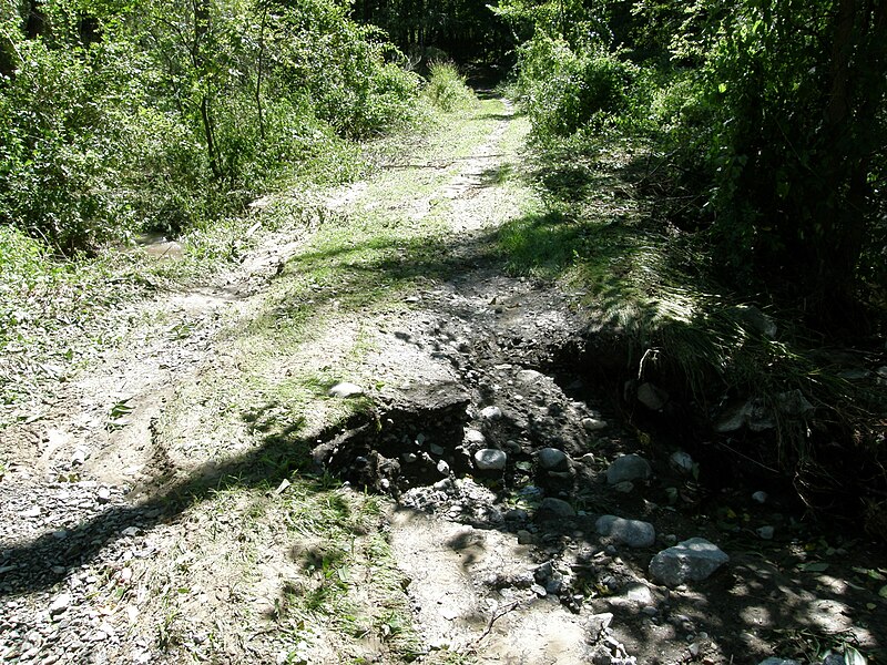 File:Hurricane Damage at Wallkill River National Wildlife Refuge August 30, 2011 (6100369399).jpg