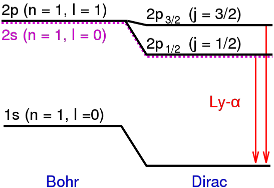 Estructura fina dels nivells d'energia en hidrogen; correccions relativistes del model de Bohr