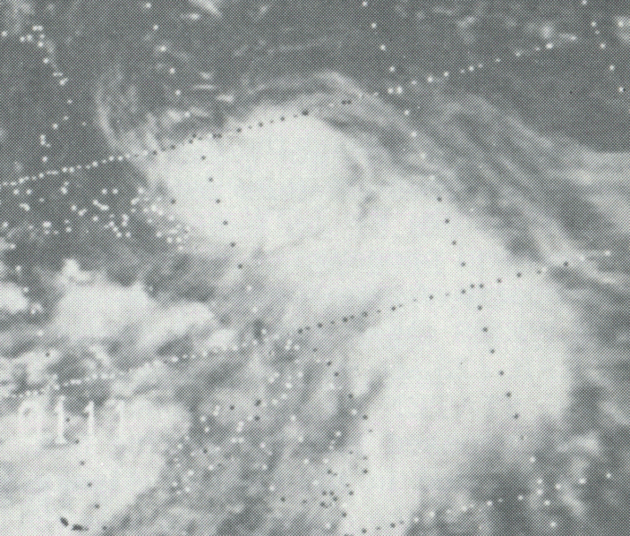 File:IvyearlyJuly191974.gif