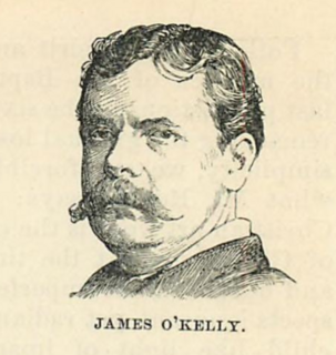 <span class="mw-page-title-main">James O'Kelly (politician)</span> Irish nationalist journalist and politician