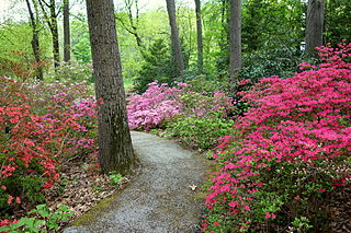 <span class="mw-page-title-main">Jenkins Arboretum</span>