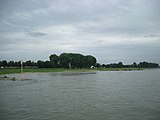 Rhein