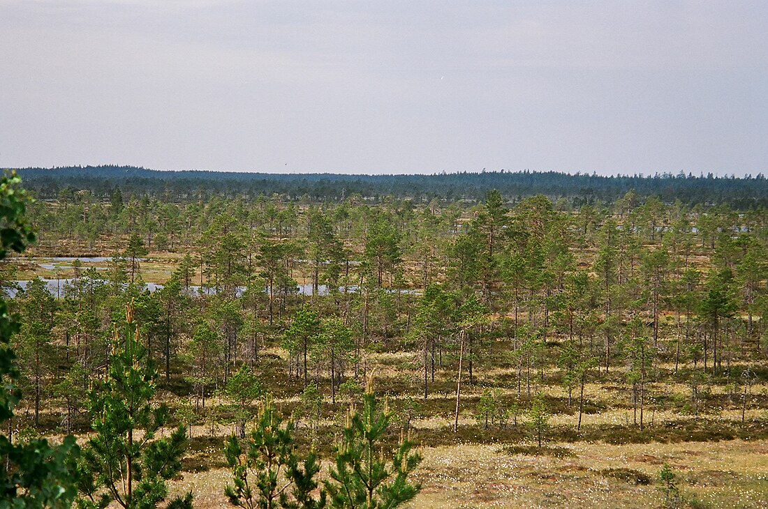 Kauhanevas-Pohjankangasas nacionālais parks