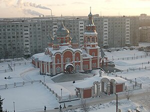 Vista hivernal