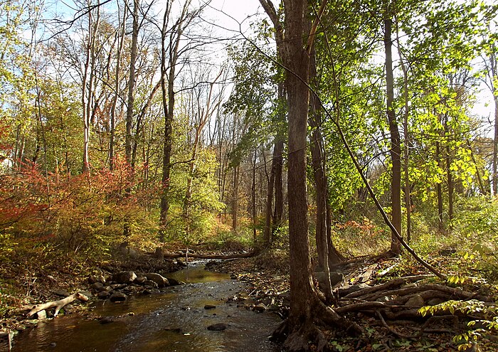 The Kisco River along the Early Settler's Trail