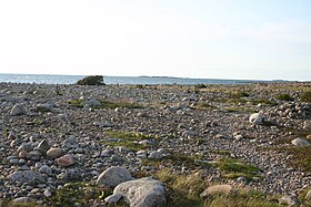 Galets sur la côte ouest de l'île.