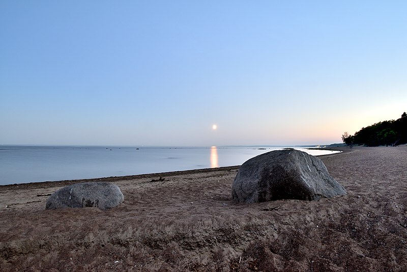 File:Komarovsky beach, stones and white night.jpg