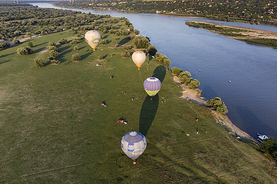 Krčedin Island. Special Nature Reserve Kovilj-Petrovaradin marches. Author: Ivan Bukvić