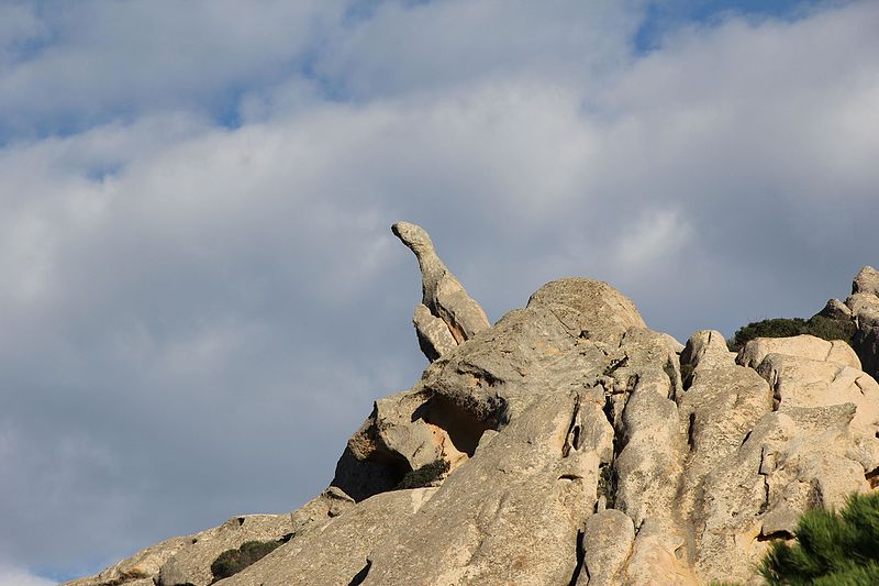 File:La Maddalena, isola di Caprera (060).jpg